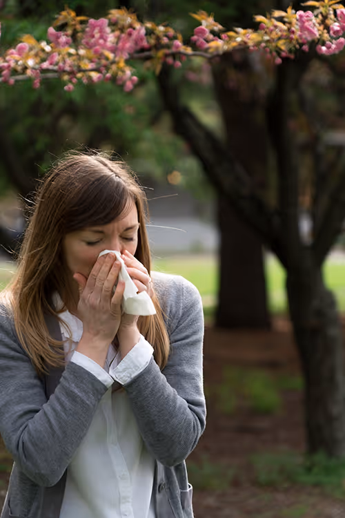 Allergy treatment options for you and your family
