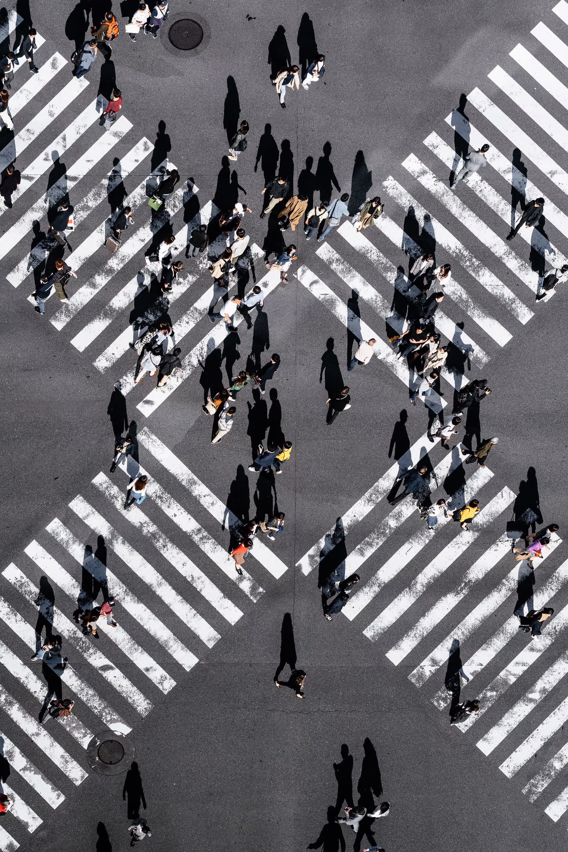 What Is "Customer Community" & How to Build Your Own