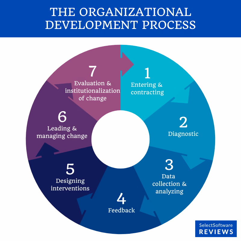 The organizational development process.