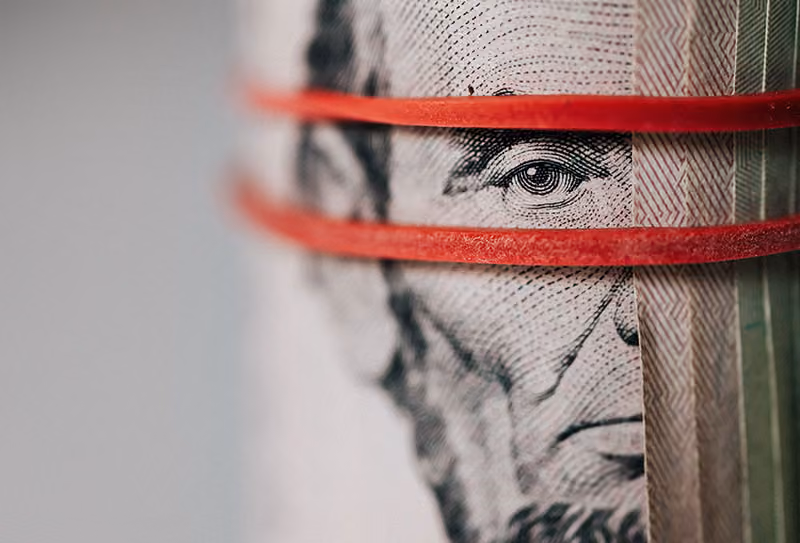 Lifting the veil on U.S. employee remuneration