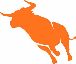Bullhorn