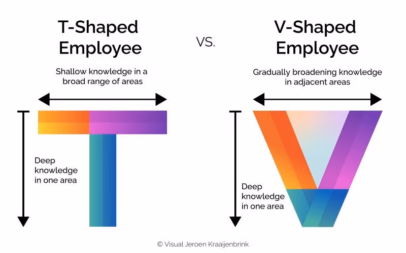 A depreciation of what defines a T-shaped and V-shaped employee.