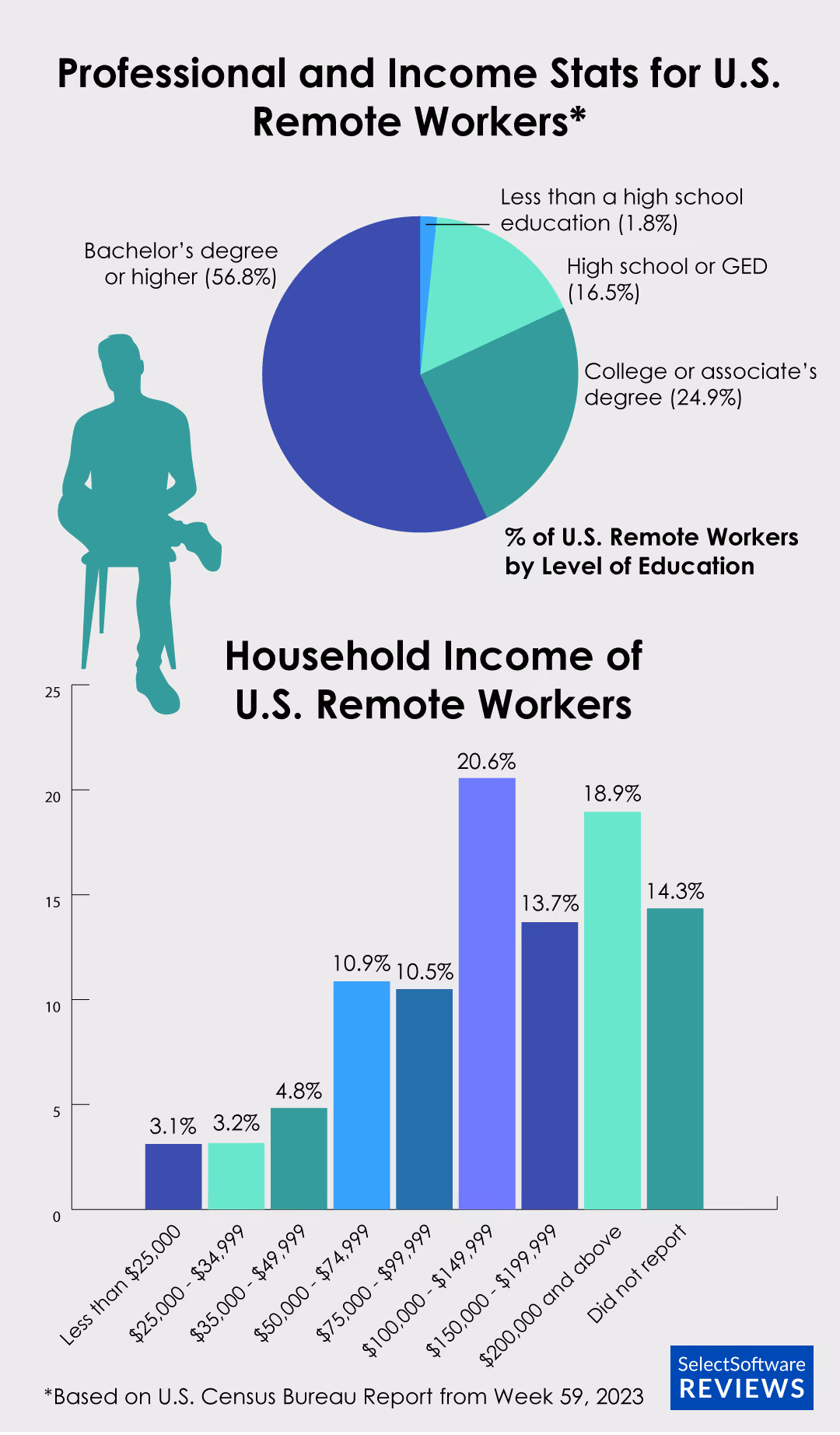 Graphs showing the qaulifications and income of US remote workers