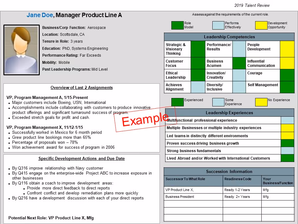 An example of a snapshot assessment for leadership.