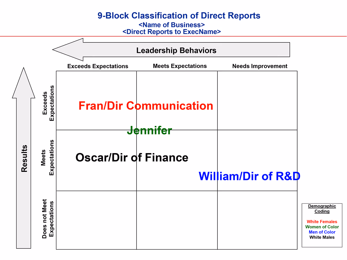 An example of a Nine-Block leadership assessment.
