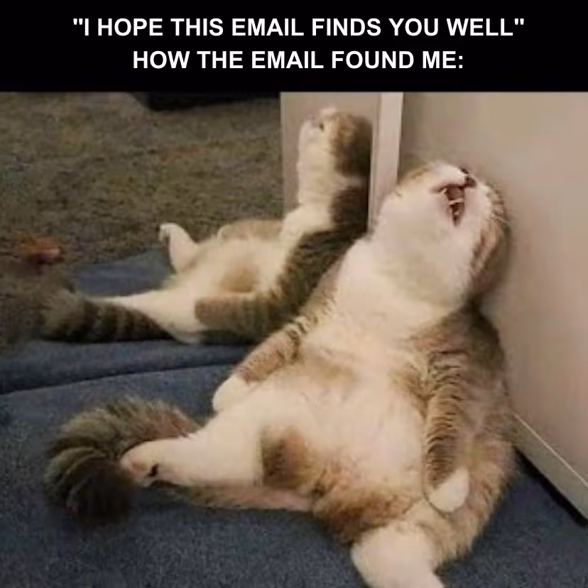 recruiting-meme-I-hope-this-email-finds-you-well