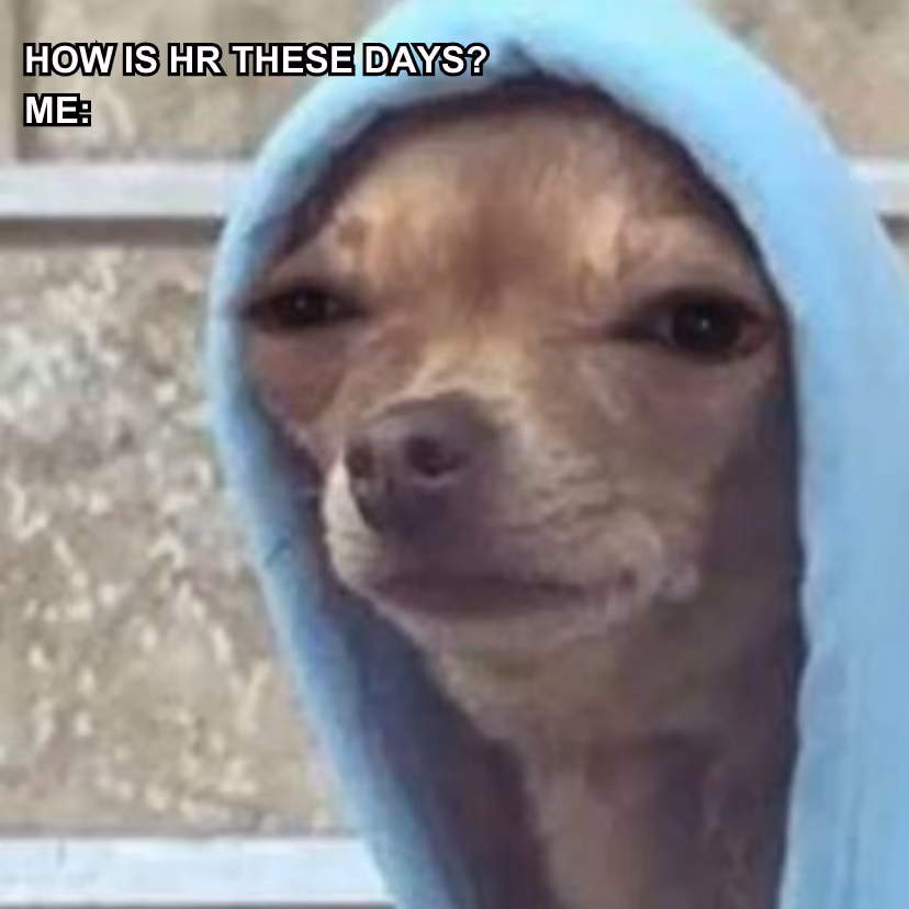  hr-meme-how-is-hr-these-days