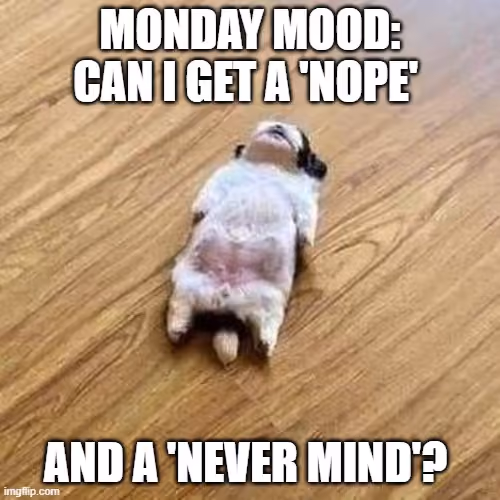 monday-meme-mood