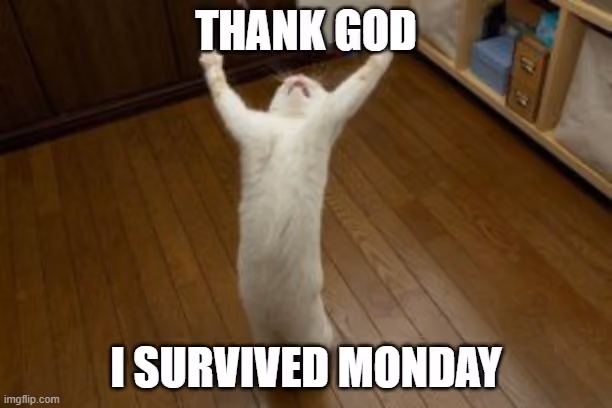 monday-meme-surviving
