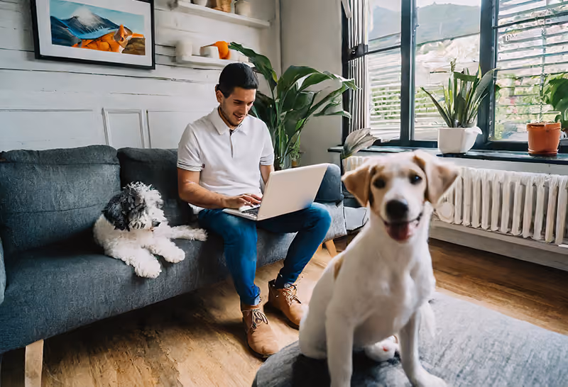 As a form of free employee recognition, a top-performing employee is allowed to work from home to spend more time with his dogs