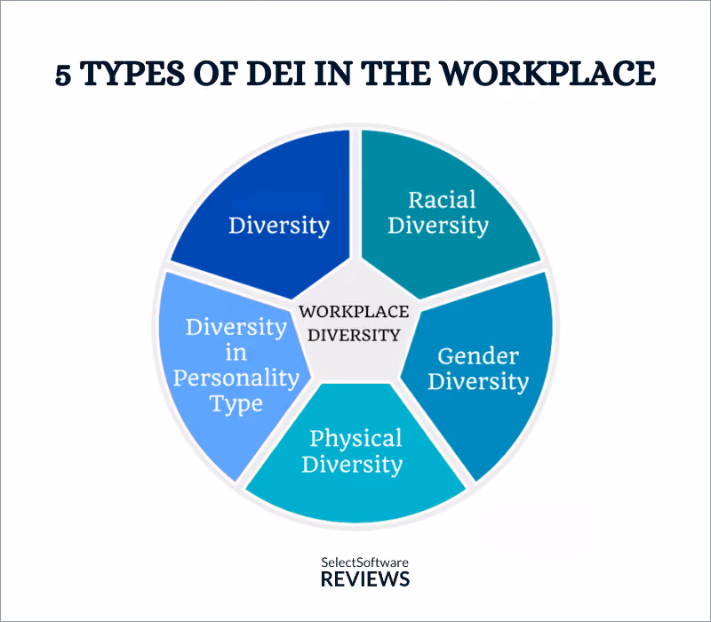Graph depicting 5 types of DEI in the workplace