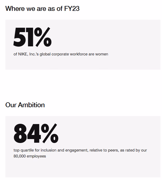 Nike DEI ambition and progress