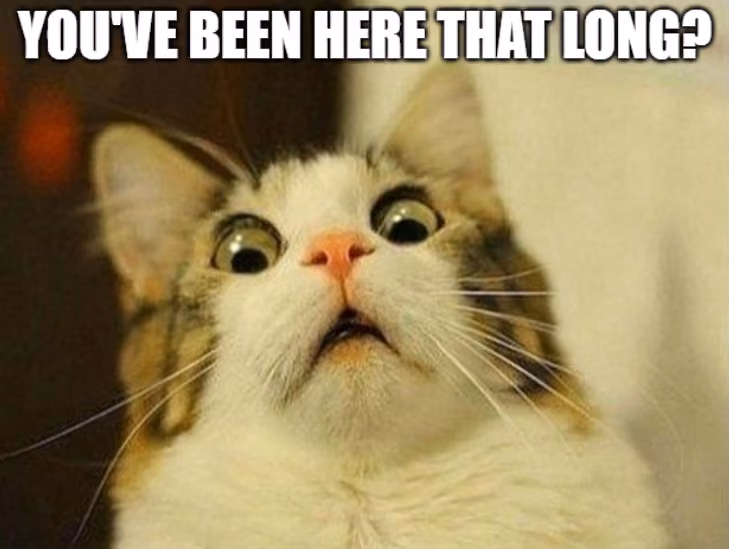 funny meme 5-year work anniversary