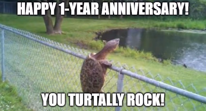 Meme about Happy one-year anniversary