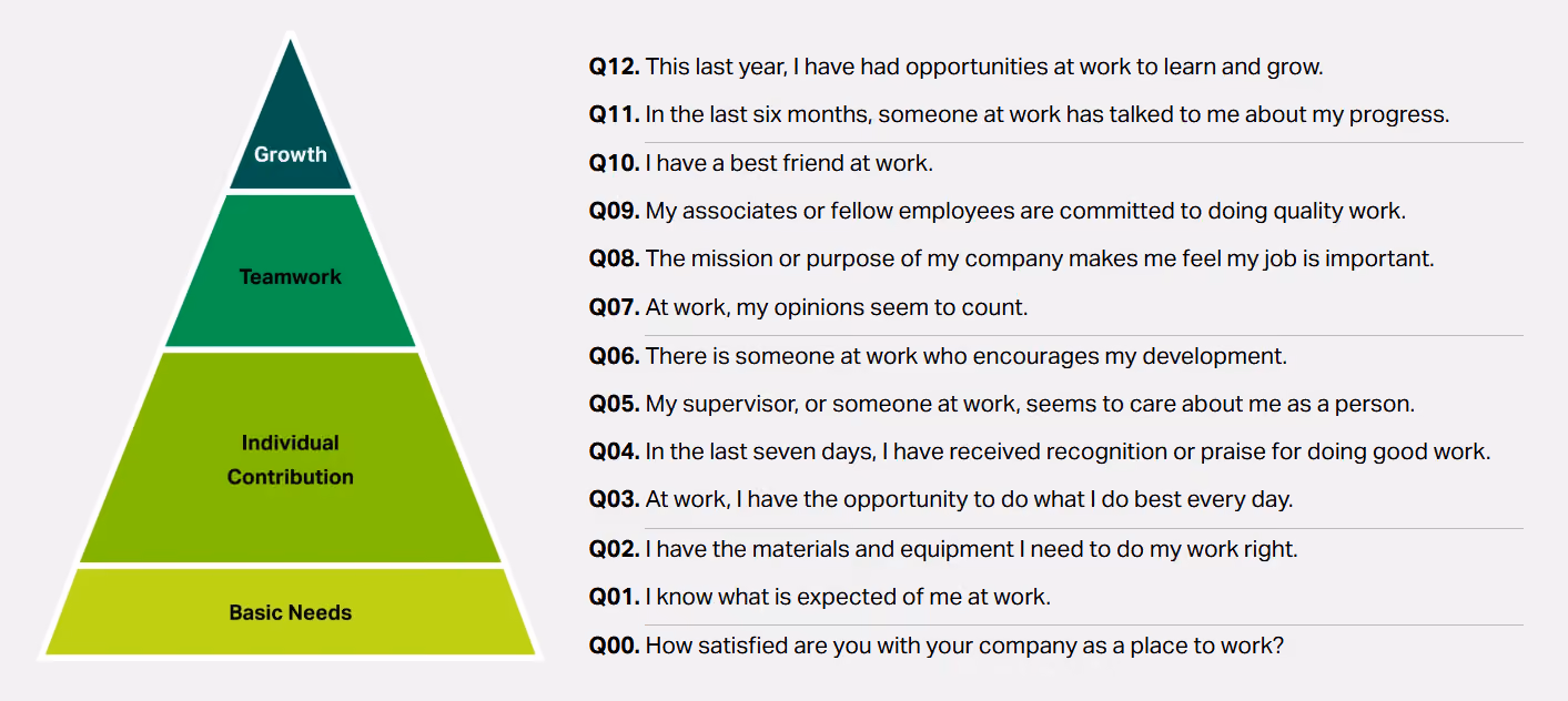 Gallup Q12 Model