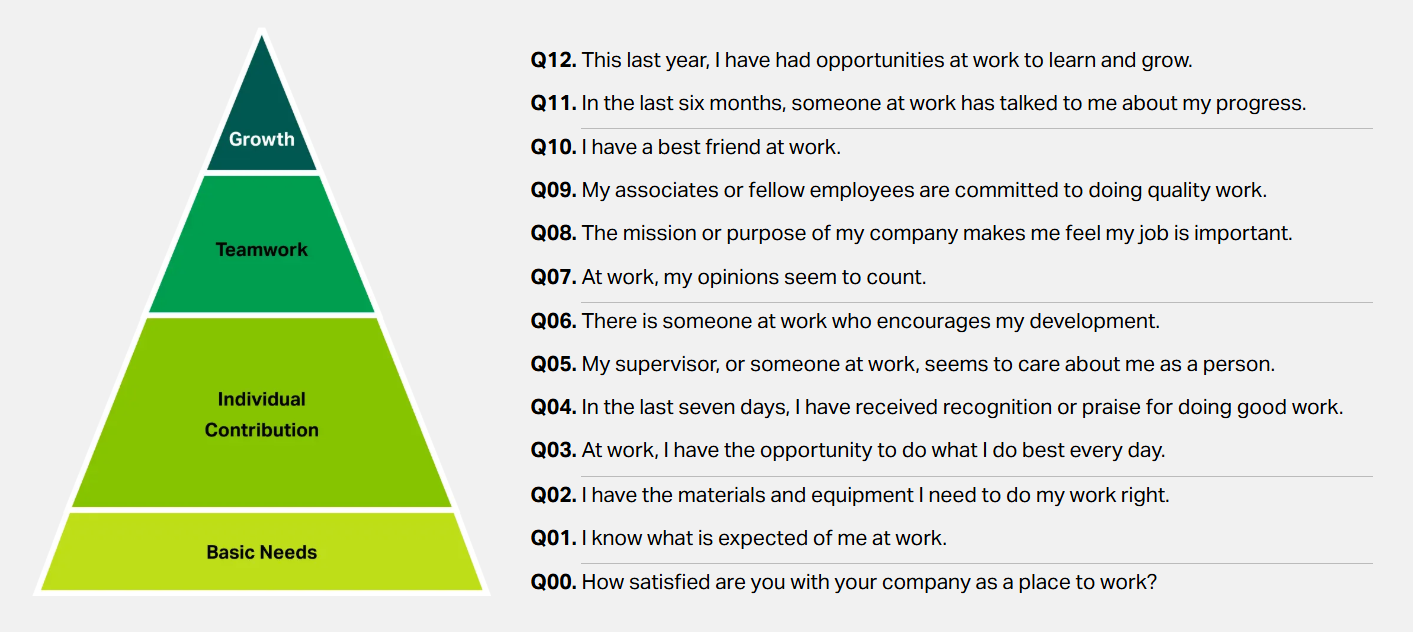 Gallup Q12 Model