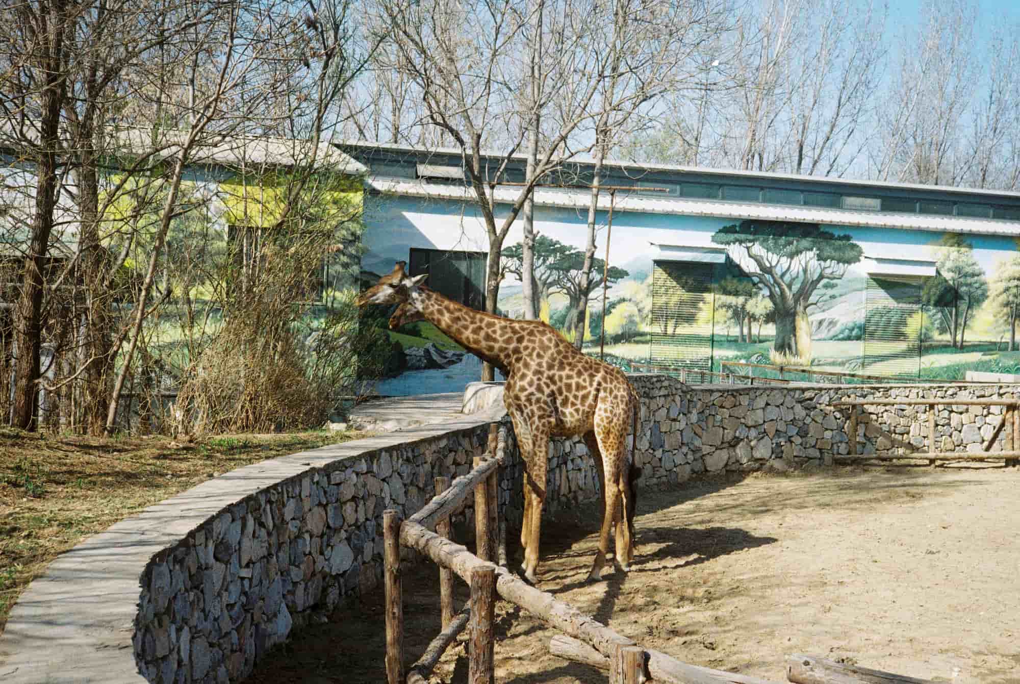 Cologne Zoo 