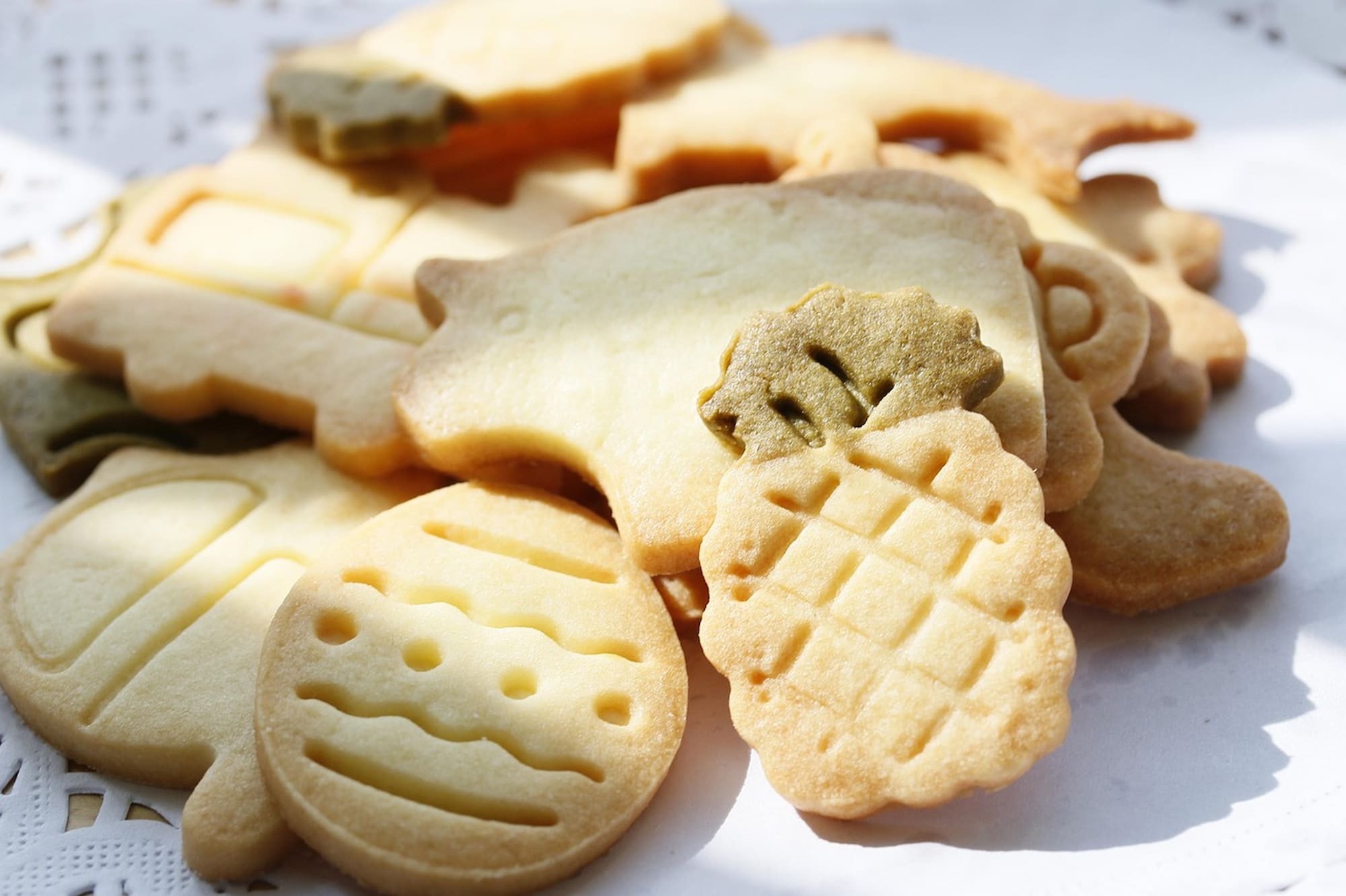 La Biscuterie, Lambersart Guided tour