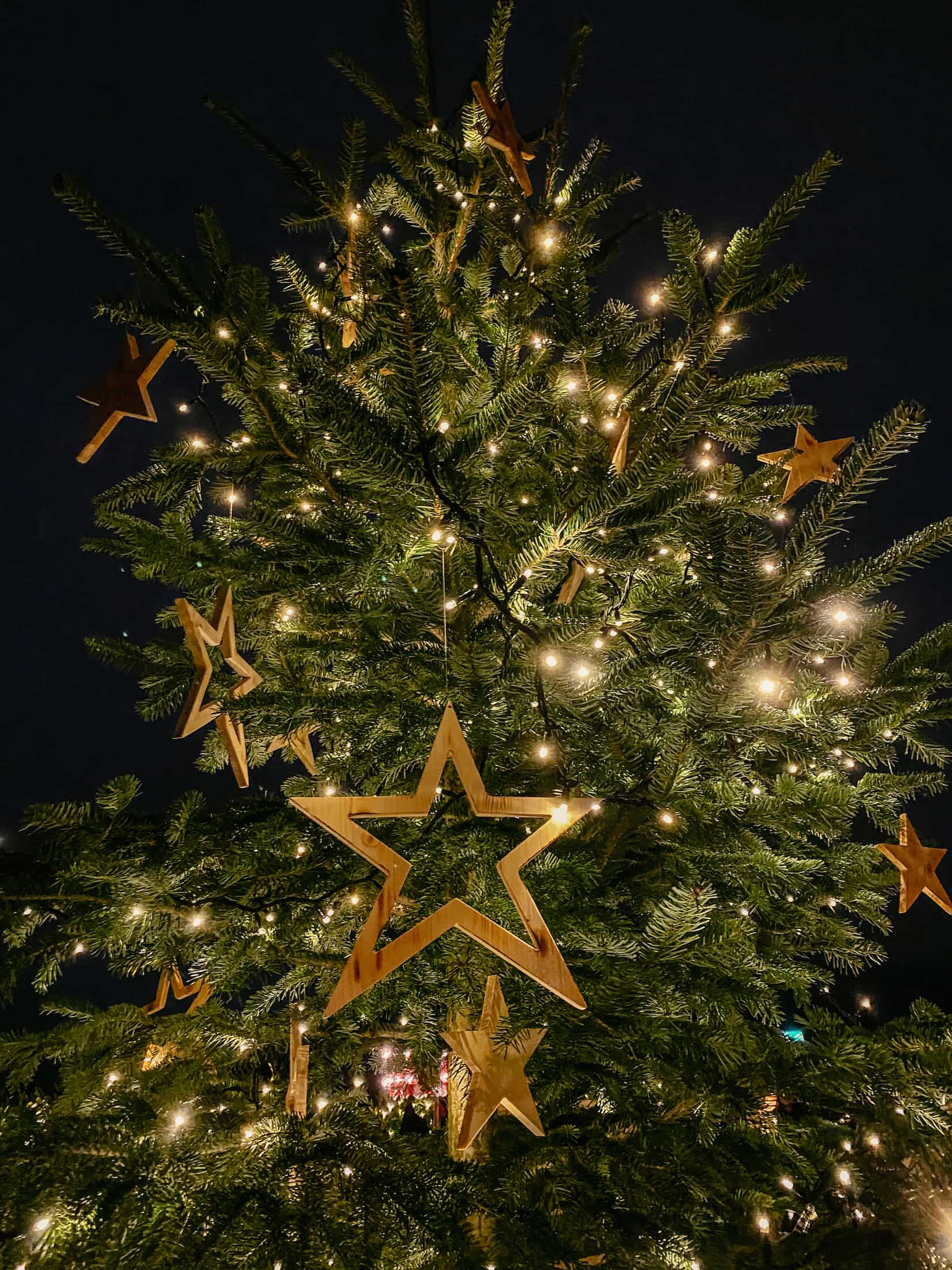 Stadtgarten Christmas Market