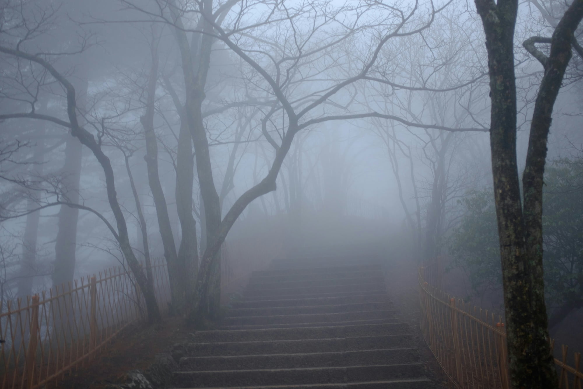 Historic Ghosts of Georgetown Walk