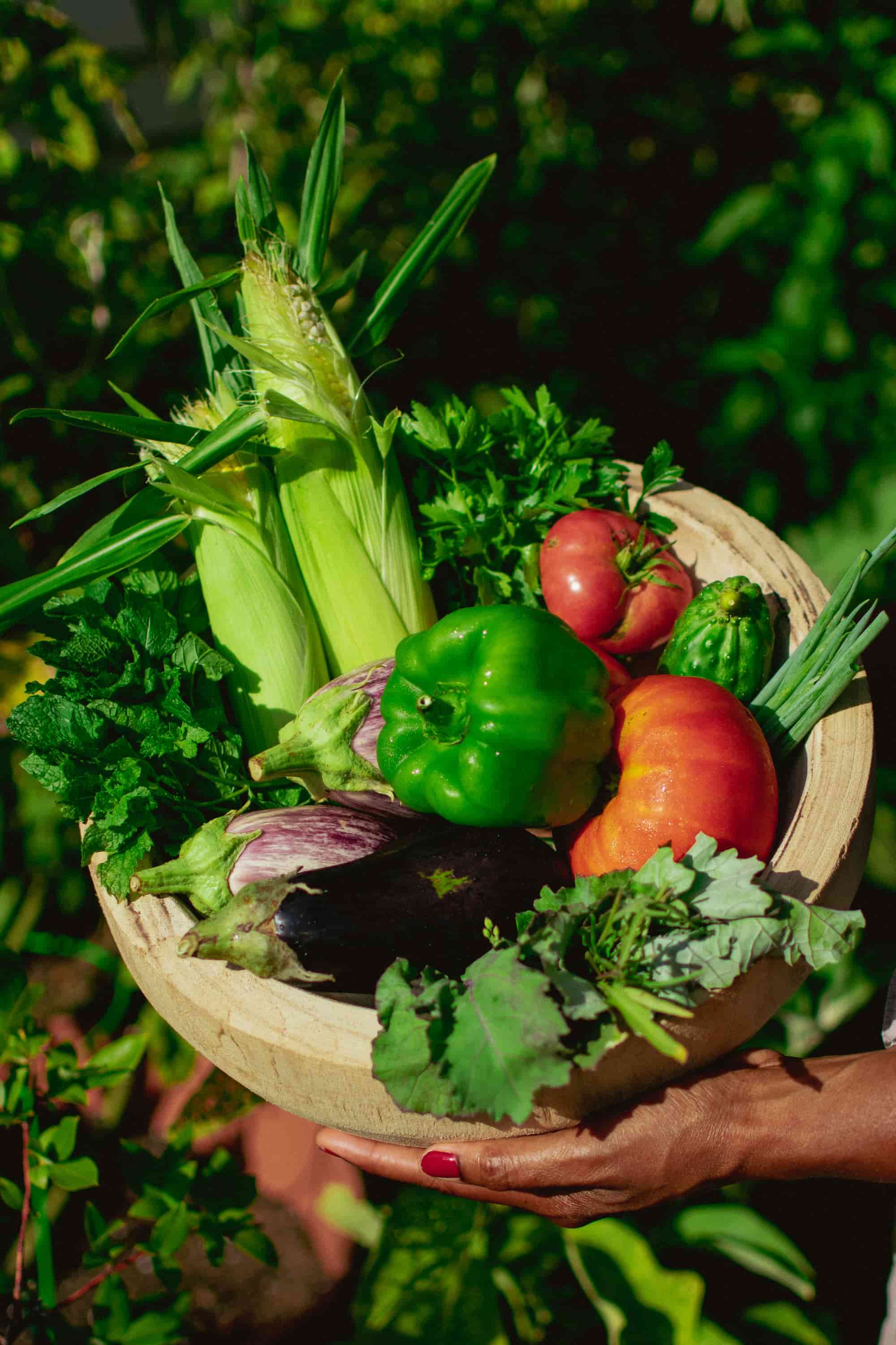 Trevaskis Farm Tour