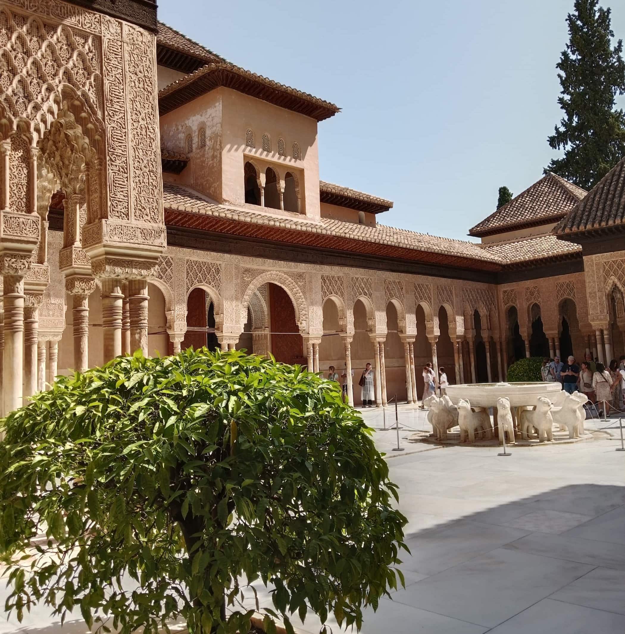Alhambra extrior with bush in foreground