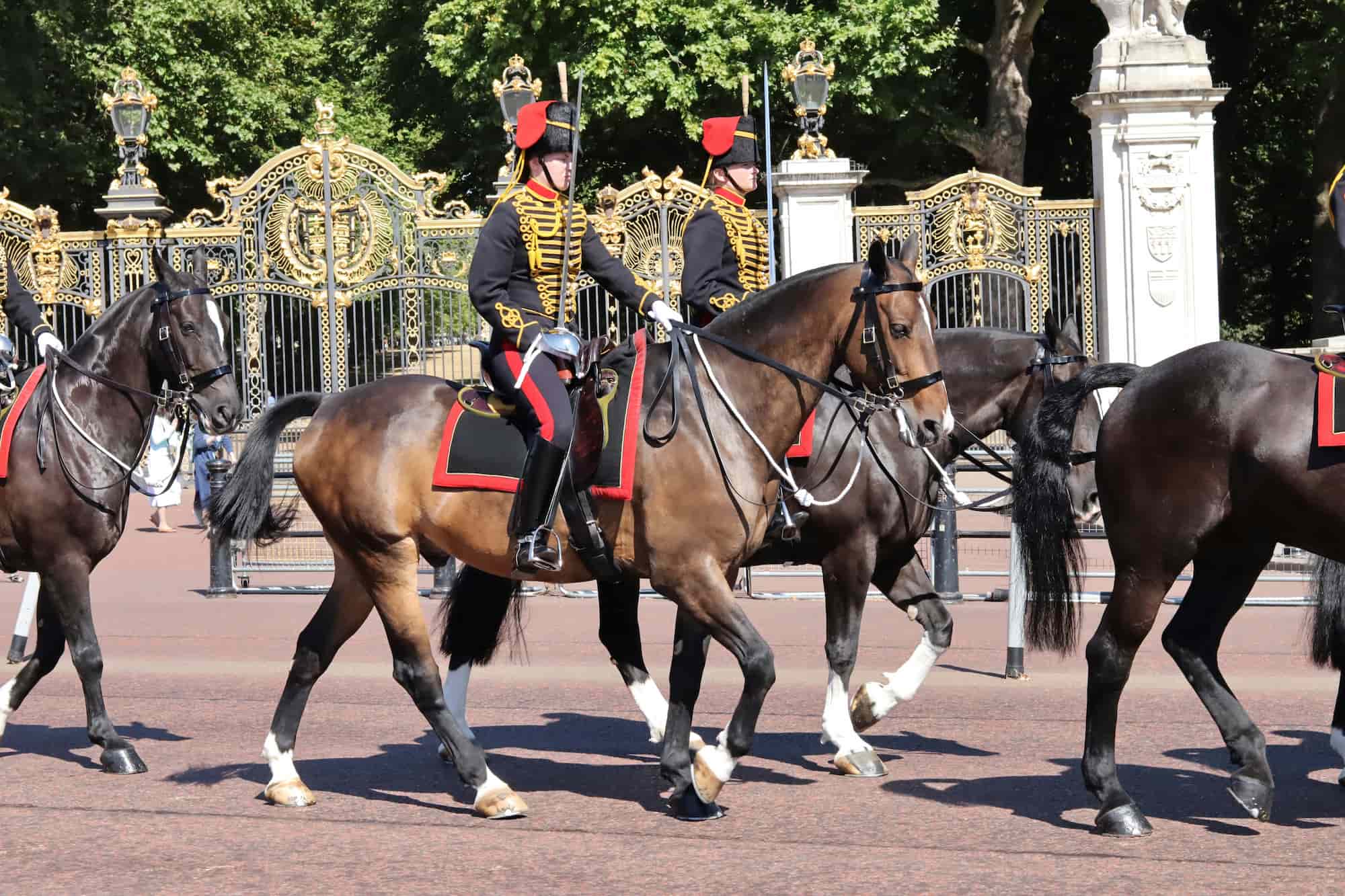 Exploring The Royal Mews