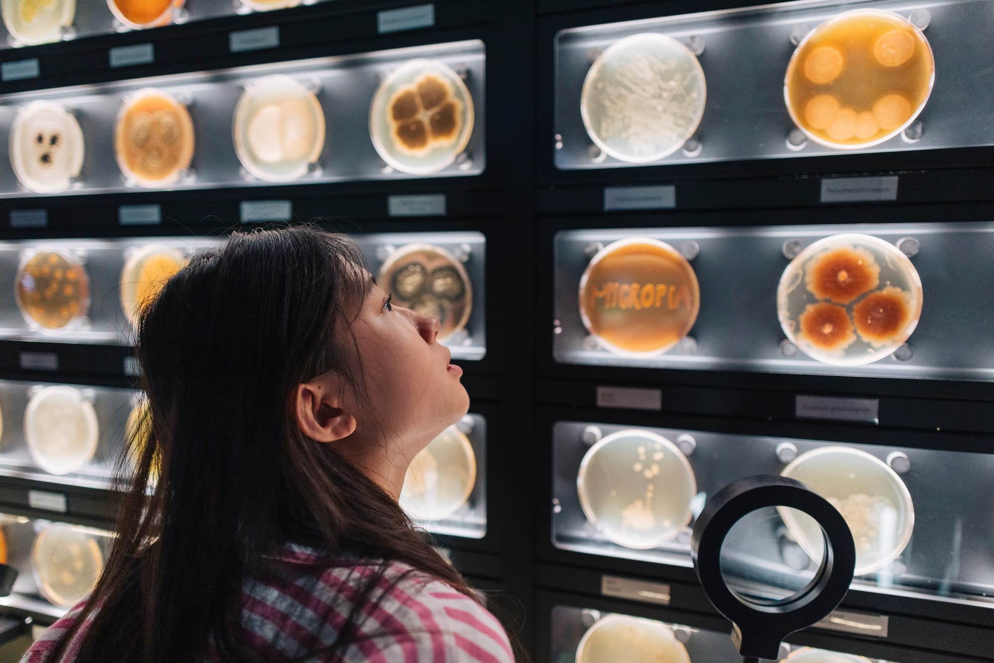 ARTIS-Micropia