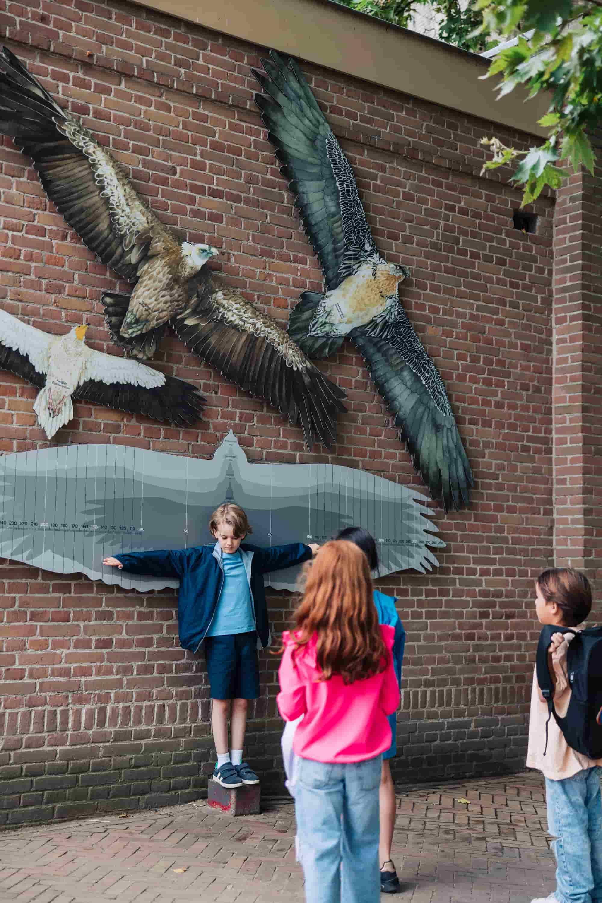 ARTIS-Park Zoo