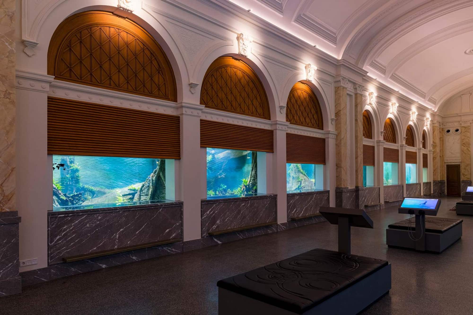 ARTIS-Aquarium