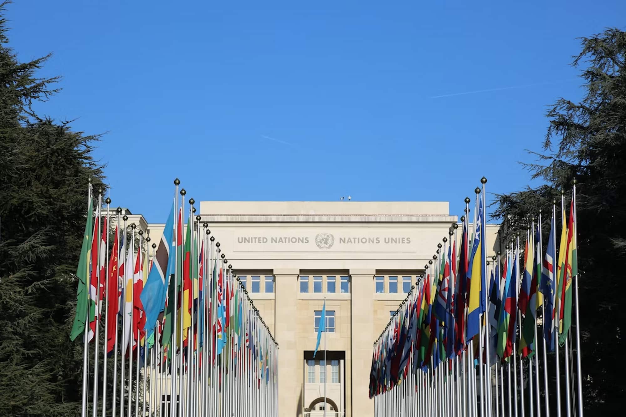 The United Nations