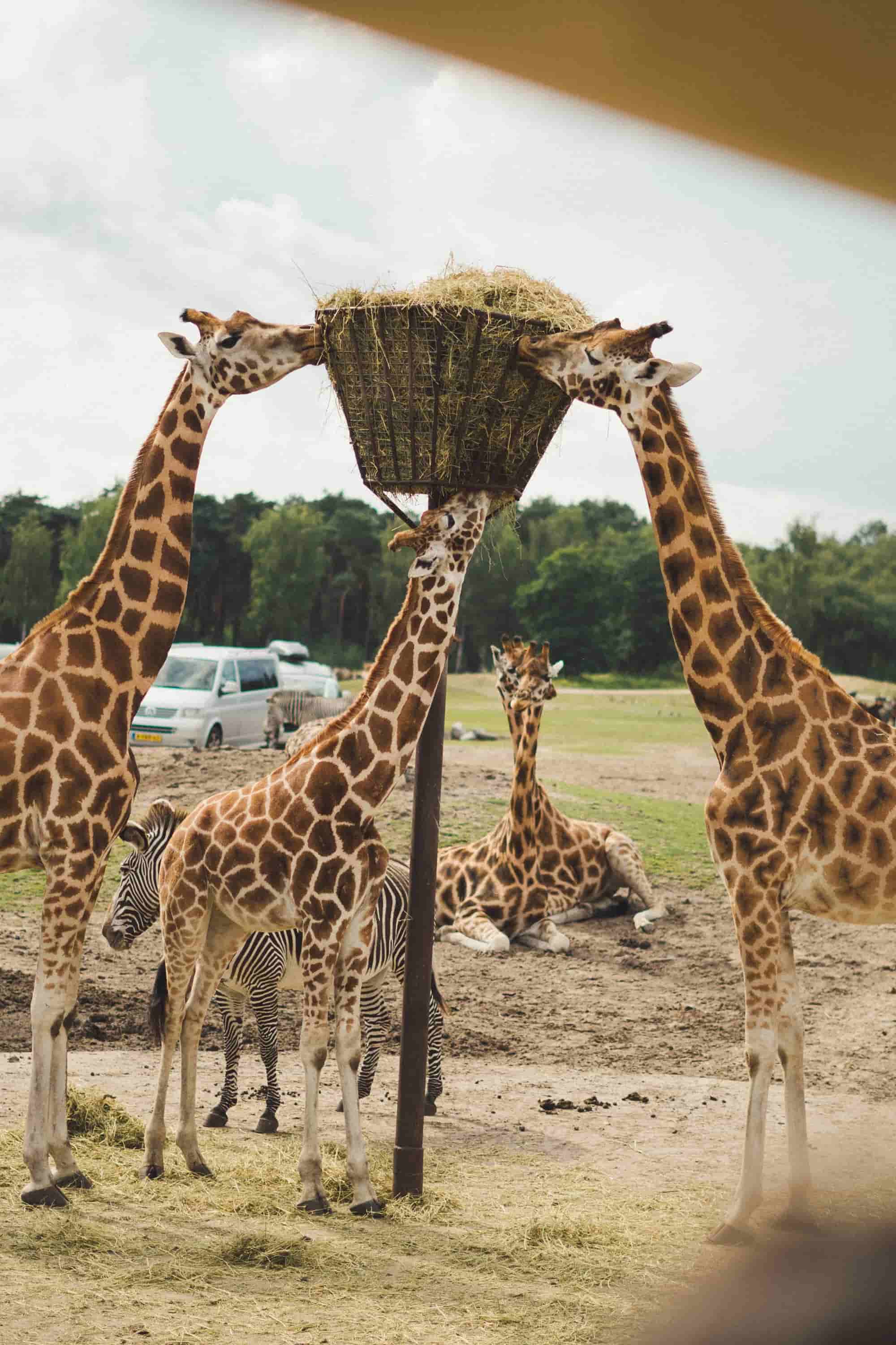Faunia Wildlife Park