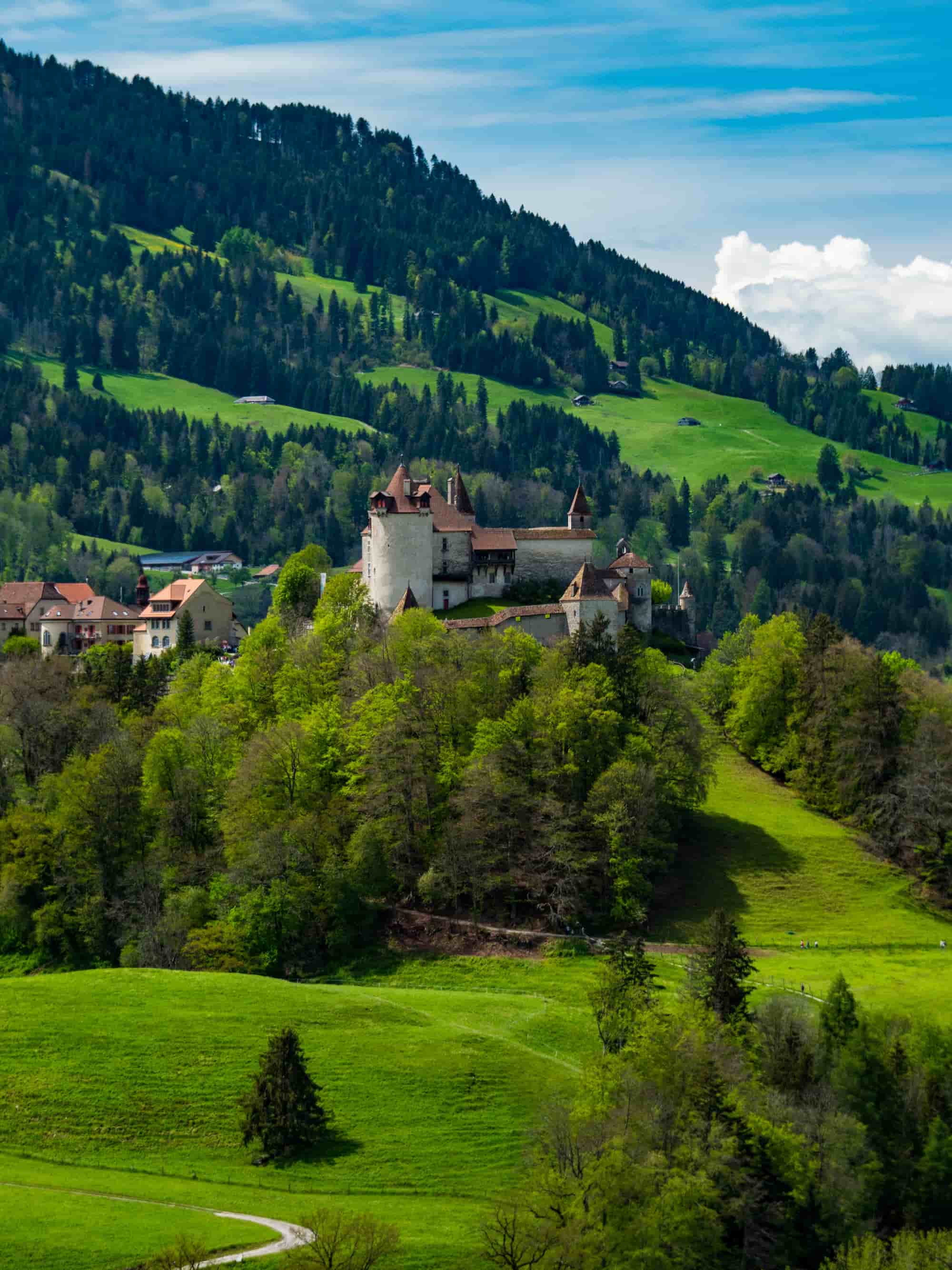 Château de Gruyères