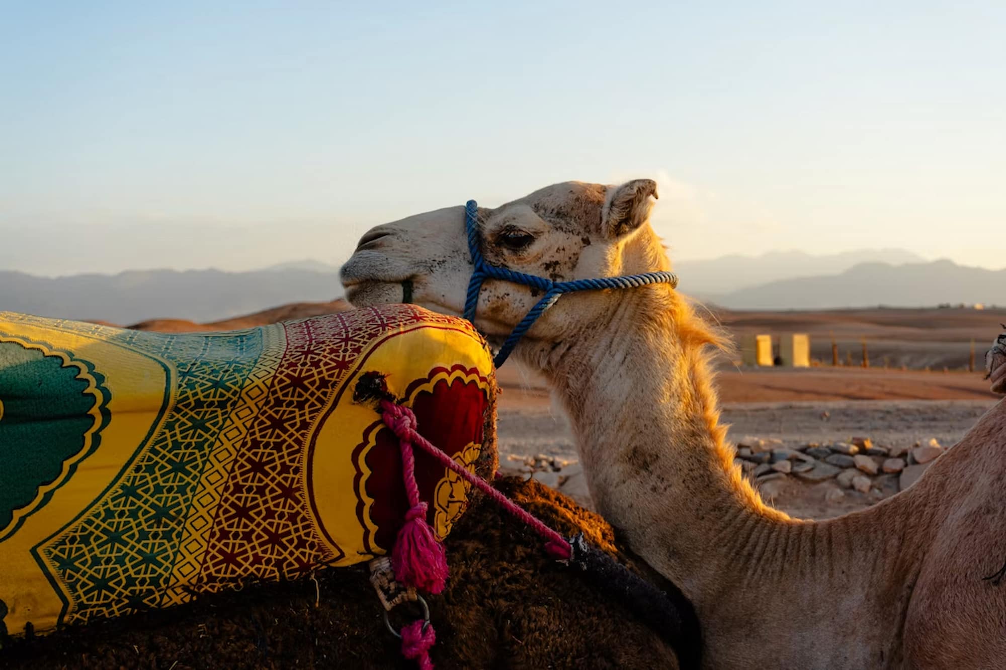 Agafay Desert Experience