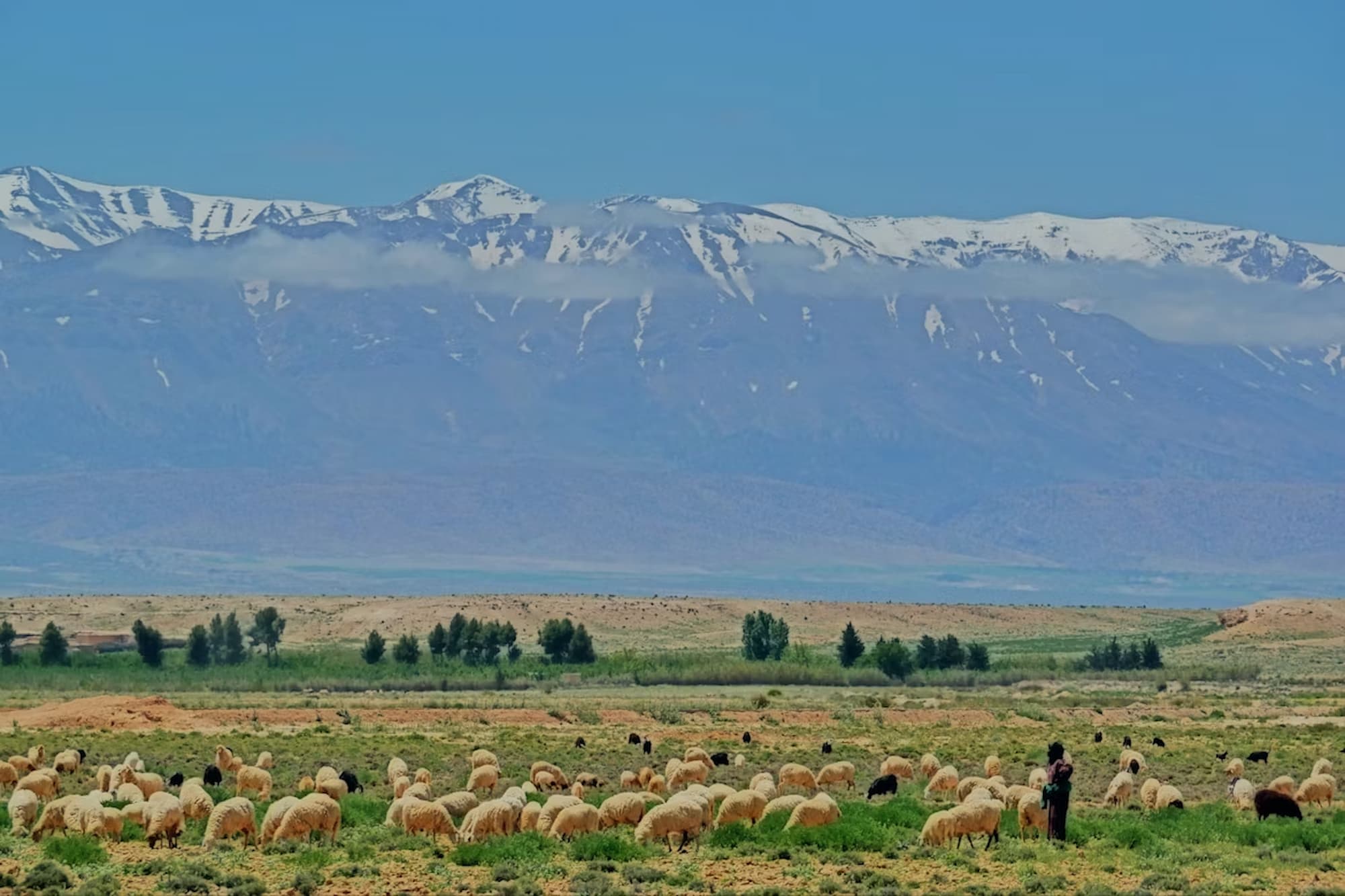 High Atlas Guided Hike