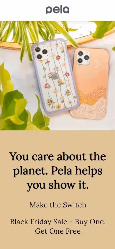 Pela Case