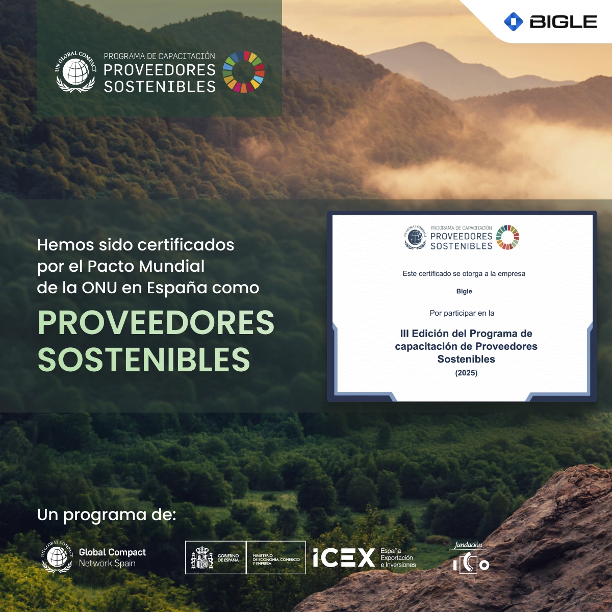 Bigle Proveedor Sostenible