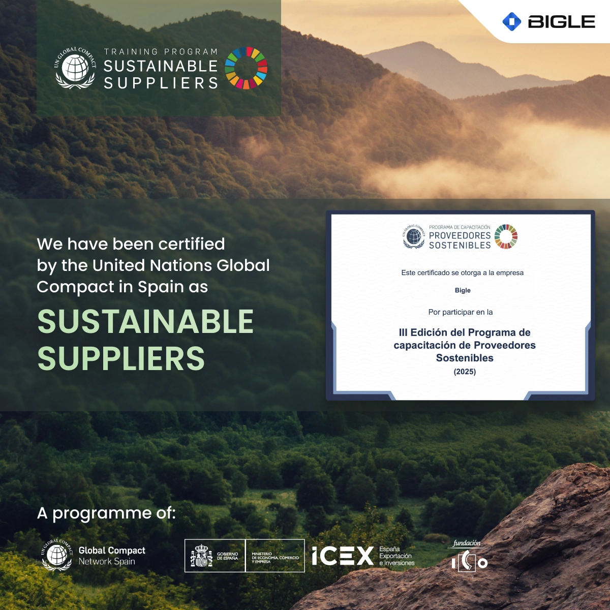 Bigle Sustainable Supplier