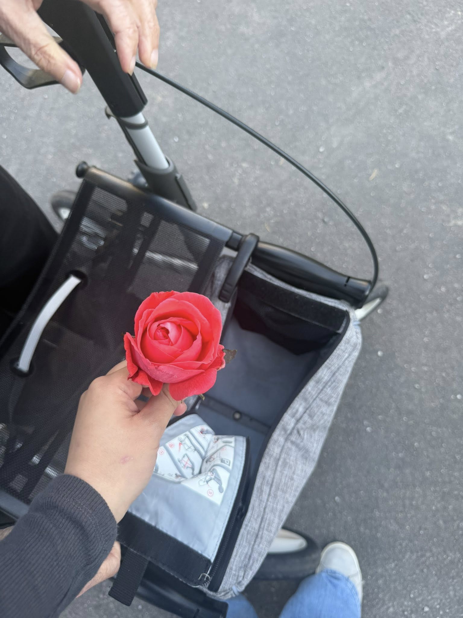 Klicka här för att se aktiviteten