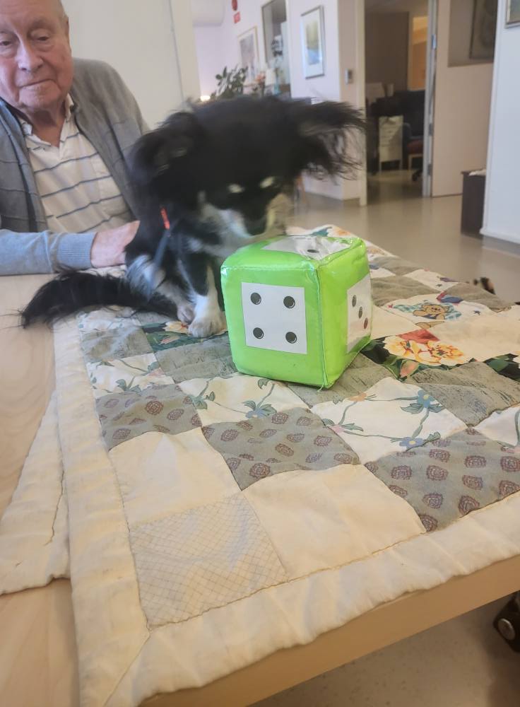 Klicka här för att se aktiviteten