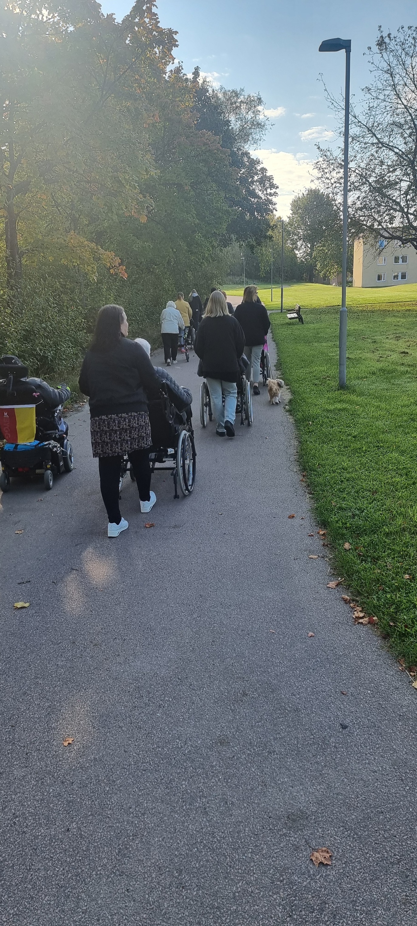 Klicka här för att se aktiviteten
