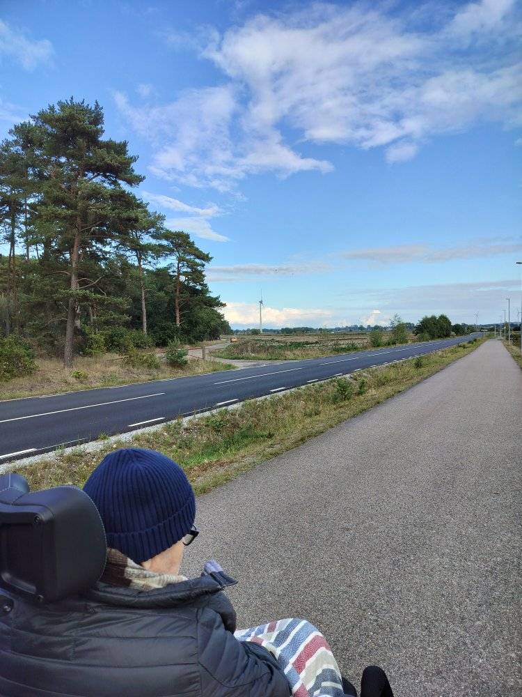 Klicka här för att se aktiviteten
