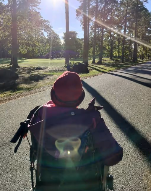 Klicka här för att se aktiviteten