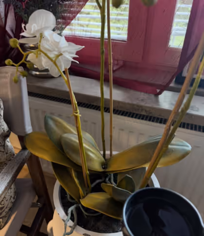 Klicka här för att se aktiviteten