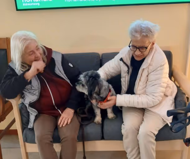 Klicka här för att se aktiviteten