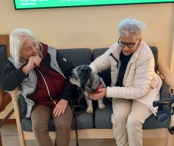 Klicka här för att se aktiviteten