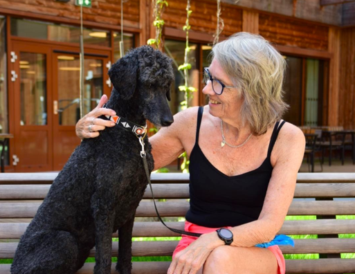 Trykk her for å se aktiviteten