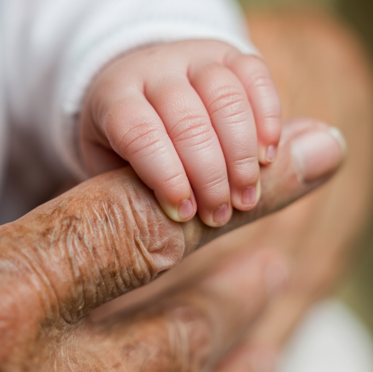 Trykk her for å se aktiviteten