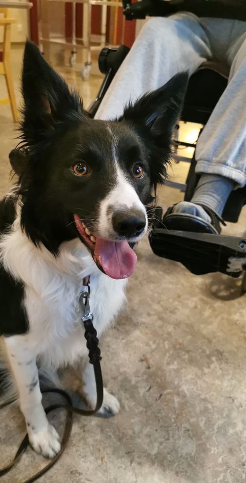 Trykk her for å se aktiviteten