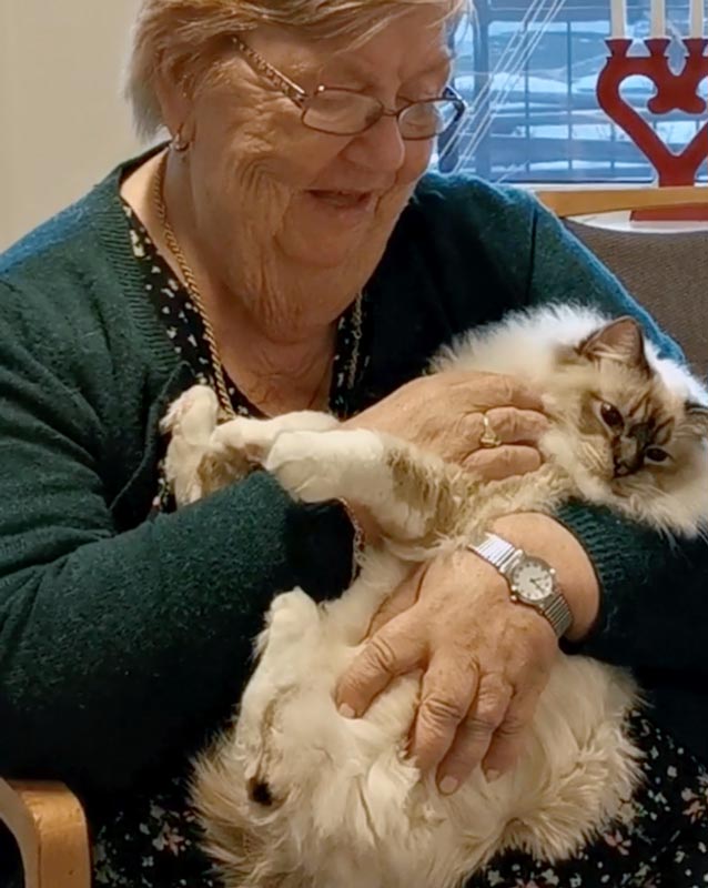 Trykk her for å se aktiviteten